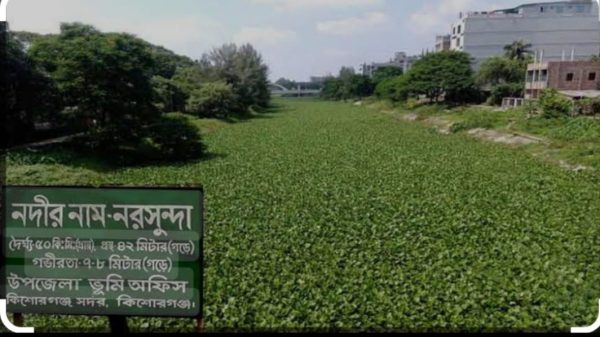 নরসুন্দা নদীটি বাংলাদেশের উত্তর-পূর্বাঞ্চলের কিশোরগঞ্জ ও ময়মনসিংহ জেলার একটি নদী। নদীটি মূলত কিশোরগঞ্জ জেলা শহর এবং নান্দাইল ও ঈশ্বরগঞ্জ উপজেলা শহর এ নদীর তীরে অবস্থিত। নদীটির দৈর্ঘ্য ৫৭ কিলোমিটার, গড় প্রস্থ ৮০ মিটার ৷৷বর্তমানে নদীটি মৃত প্রায়। দেখা যায় কিশোরগঞ্জ বড়বাজারের আবর্জনা, অবৈধ দখলে-দূষণে নদীটি আজ ধ্বংশ প্রায়। দেখলে মনে হবে ময়লার বাগাড়৷